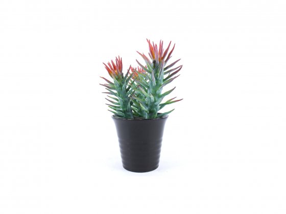 Artificial Plants 44792