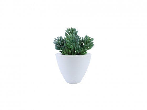 Artificial Plants 44840