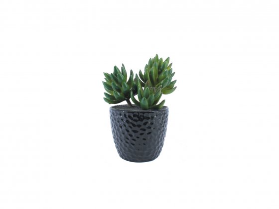 Artificial Plants 44873