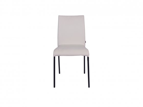 Dining Chair DC9005