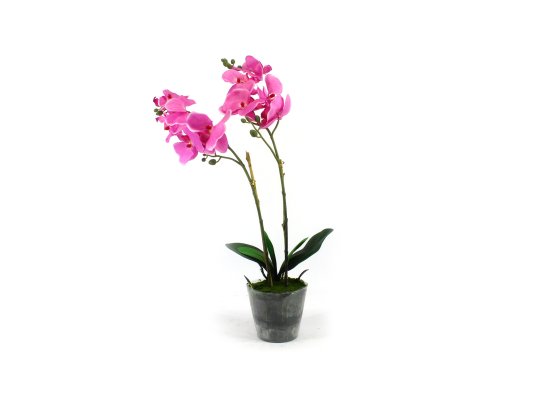 ( SOLD OUT ) Artificial Flower 12479