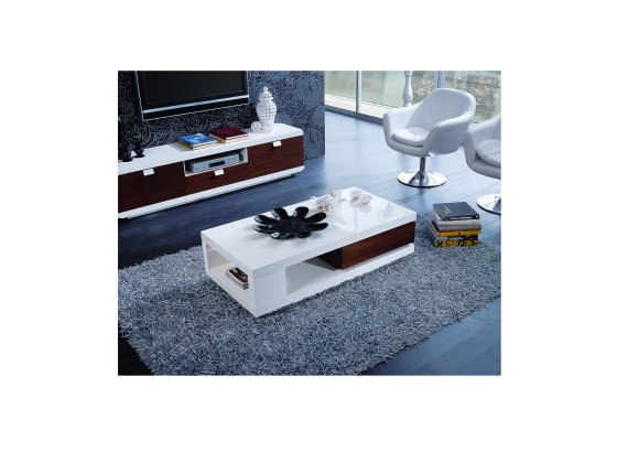 ( SOLD OUT ) Coffee Table ZENNA