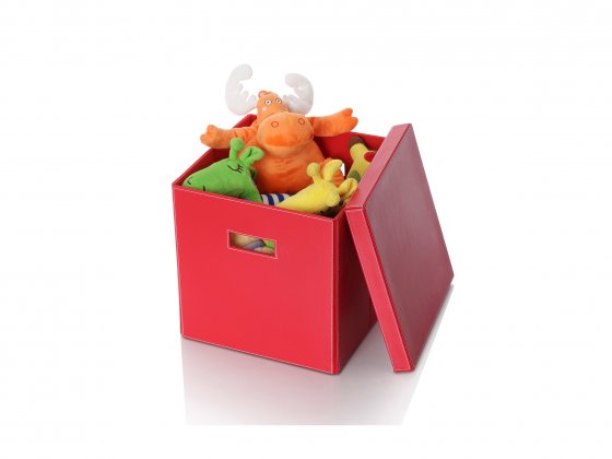 Storage Box CB6957-RD