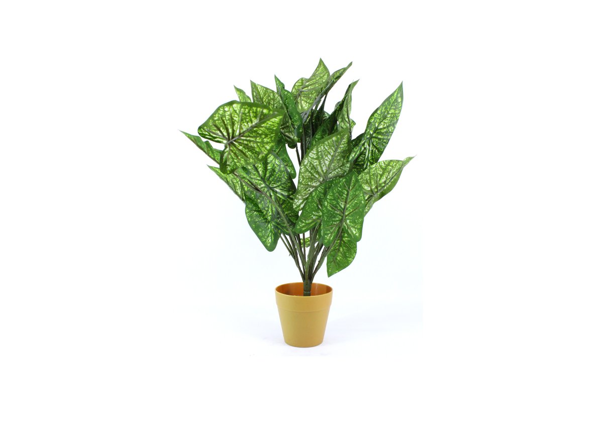 Artificial Plants 0597