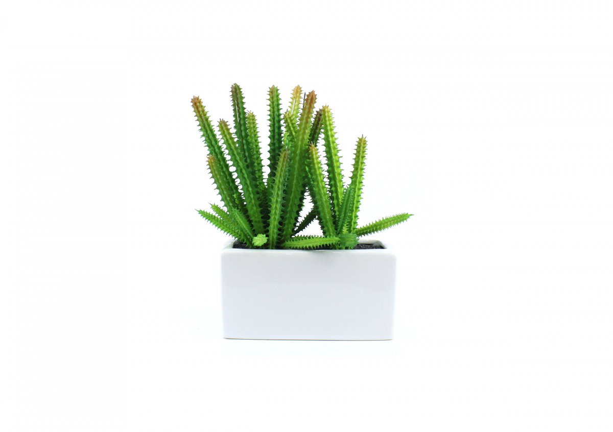 Artificial Plants 44195