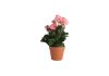 Artificial Flower BEGONIA