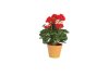 Artificial Flower BEGONIA