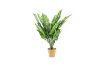 Artificial Plants 0493