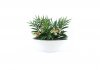 Artificial Plants 44415