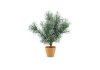 Artificial Plants 7865