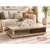 Coffee Table Meja Kopi C9919