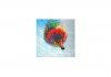Paintings B102
